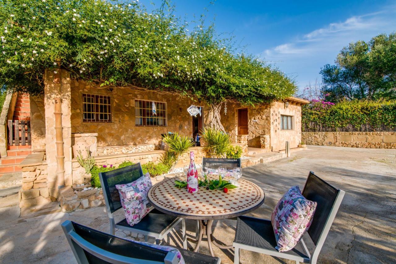 Ideal Property Mallorca - Sa Vinya Vella Alcúdia Exterior foto
